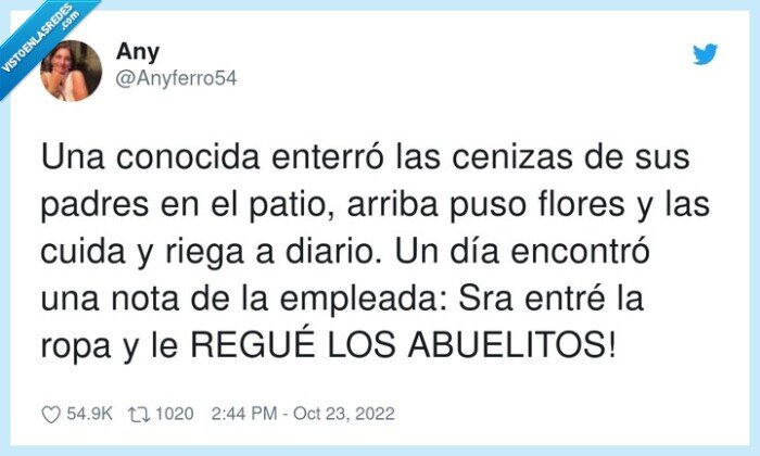 encontrar,abuelitos,enterrar,empleada,conocida,cenizas