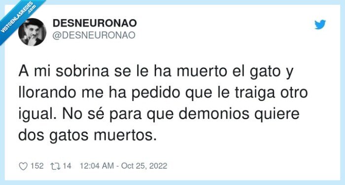 demonios,llorando,sobrina,muertos,pedido,gato
