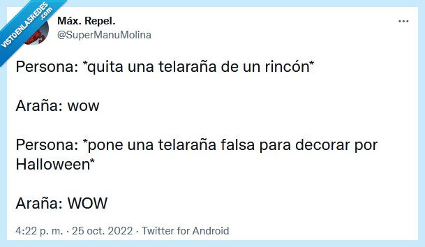 ara&ntilde;a,halloween,telara&ntilde;a,decorar