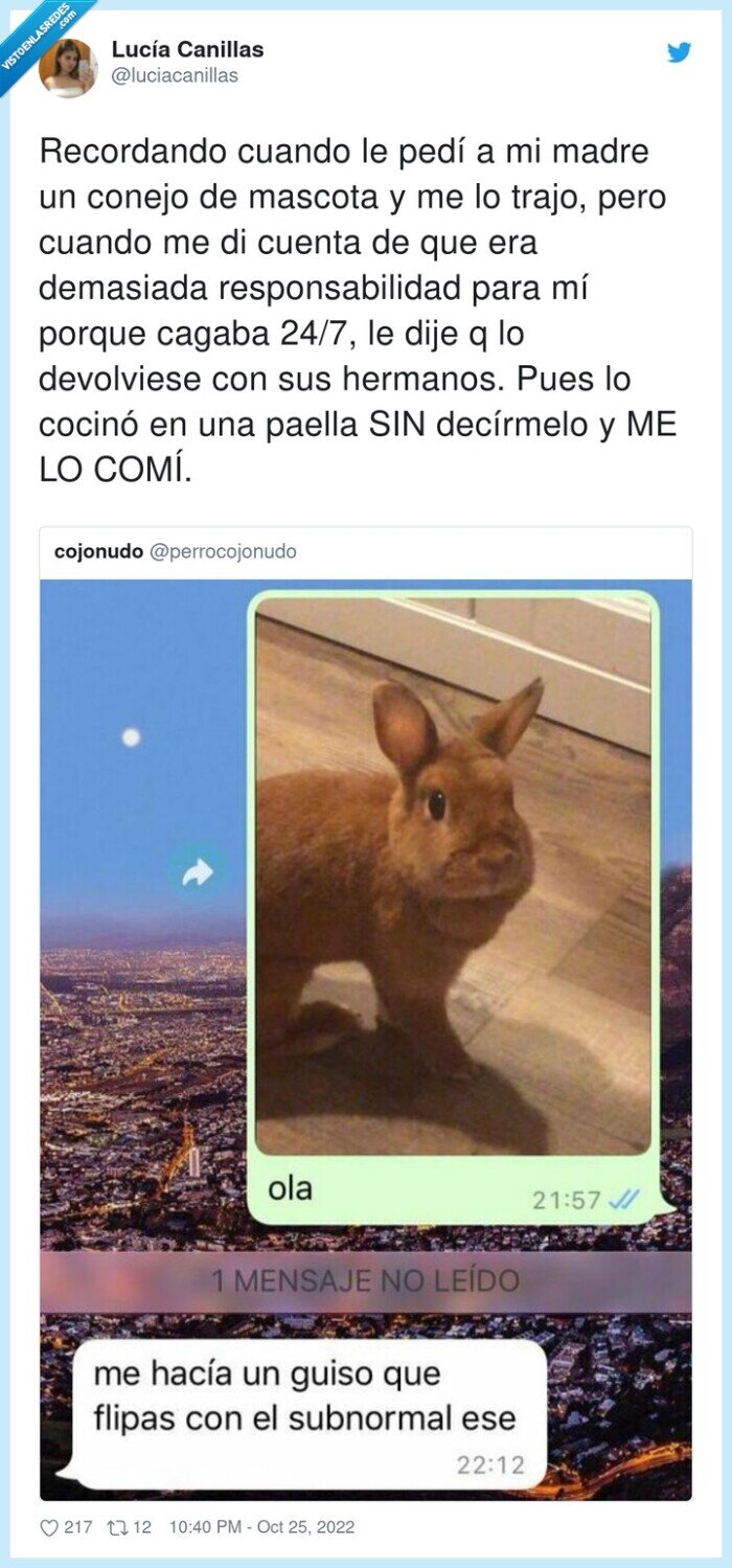 responsabilidad,recordar,conejo,comida