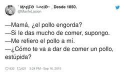 Enlace a Maldito pollo, por @MarifeIacion