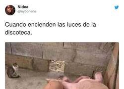 Enlace a De todo se aprende, por @nyconene