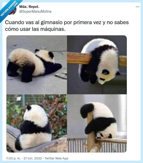 gimnasio,máquinas,usar,pandas