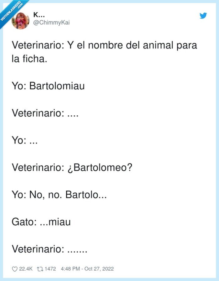 bartolomiau,veterinario,bartolomeo,bartolo,nombre,animal