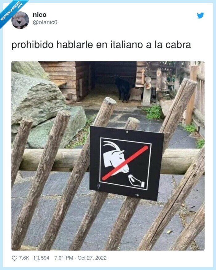 prohibido,hablarle,italiano,cabra
