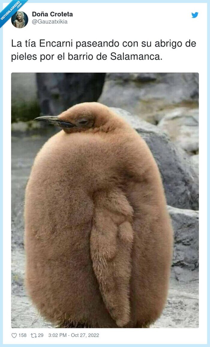 salamanca,paseando,encarni,abrigo,pieles,barrio