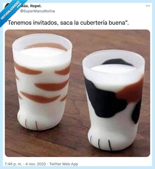 cubertería,invitados,gatos