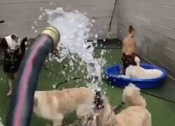 Enlace a Parecen los malos de la peli, por @atr_ahre