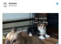 Enlace a Yo con una gota de actimel en el organismo, por @sinprepu