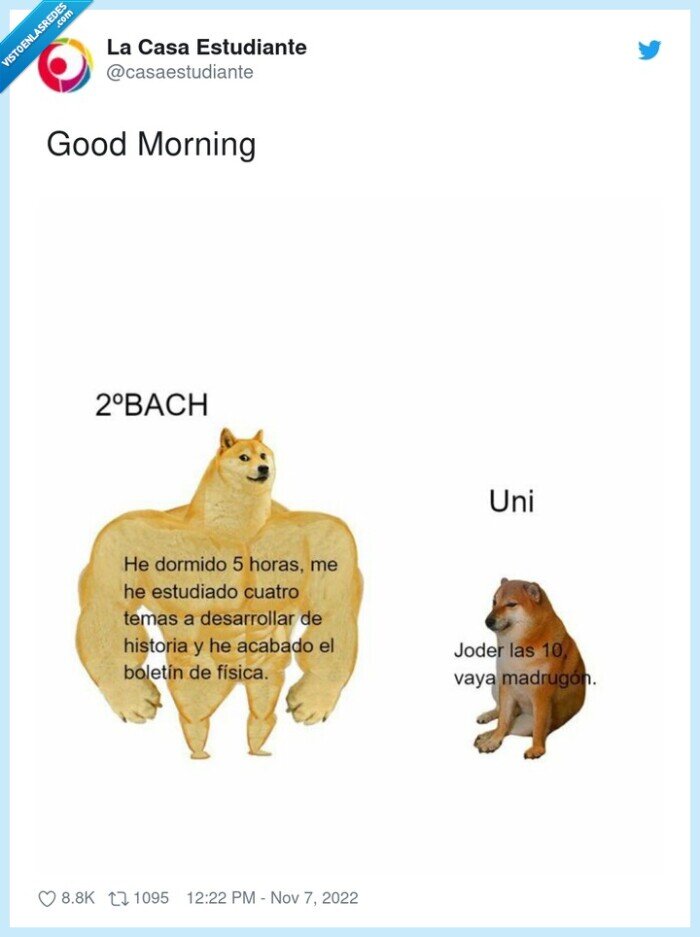 doge,cheems,universidad,bachillerato