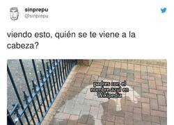 Enlace a Kiko Rivera, por @sinprepu