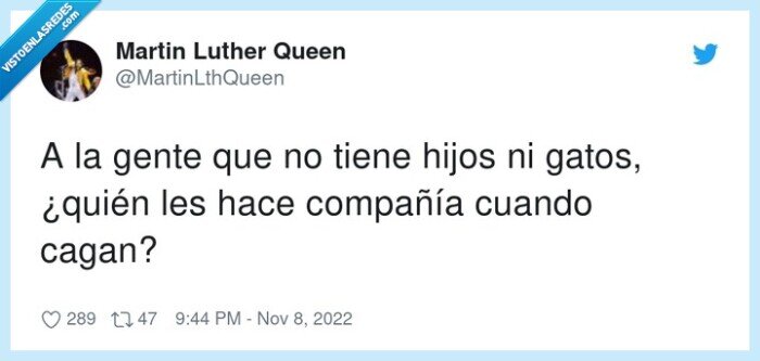 compañía,gatos,cagar,gente