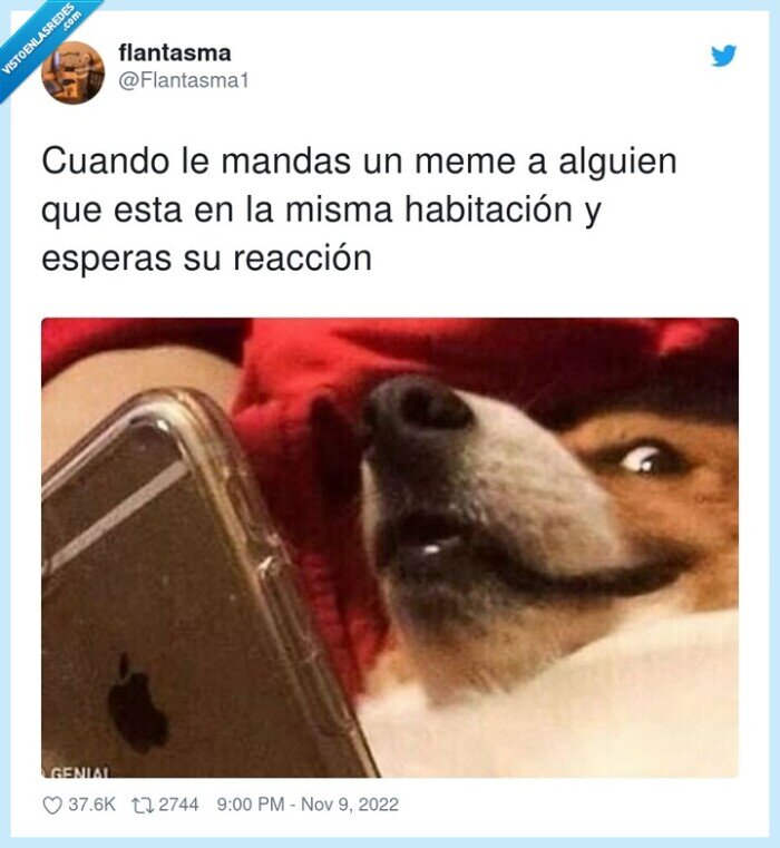 esperar,reacción,mandar,meme