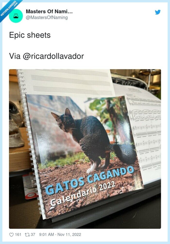 gatos cagando,calendario,sheets,epic,via