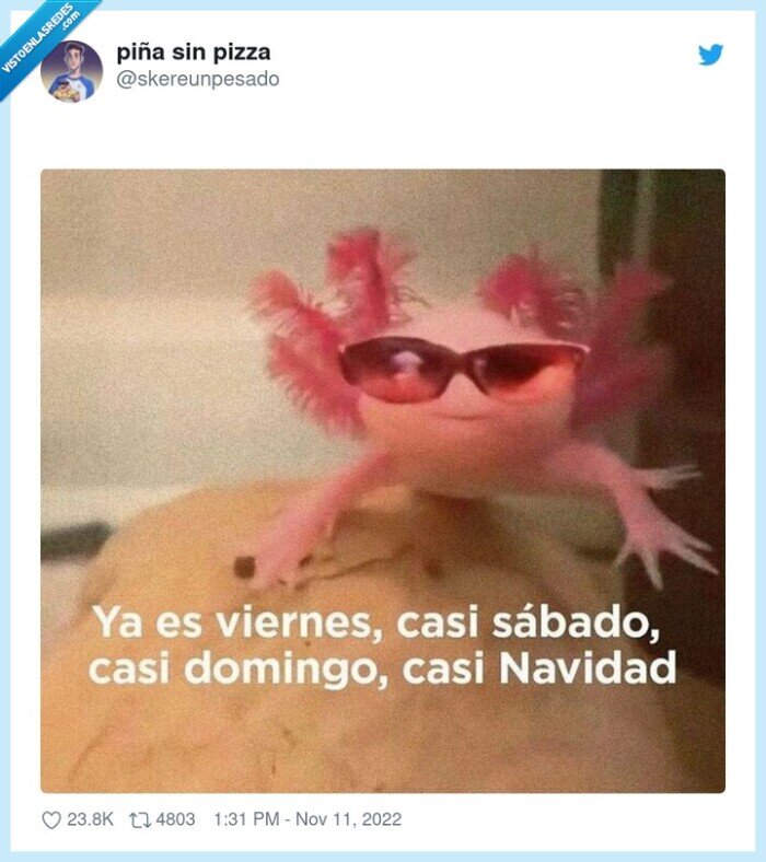 viernes,sabado,domingo,navidad