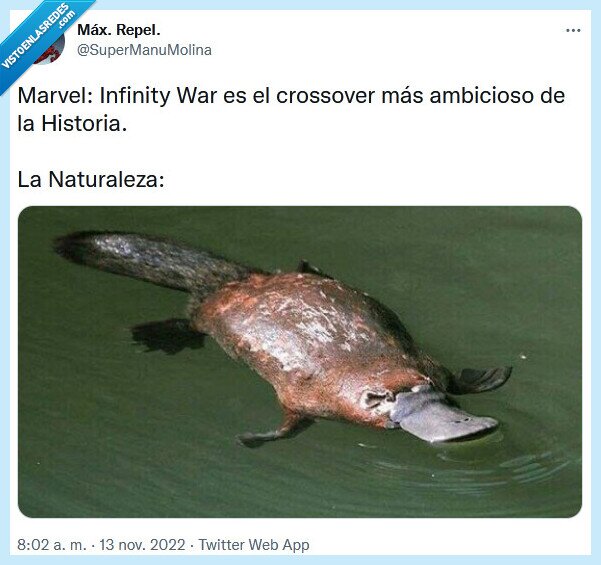 naturaleza,infinity war,crossover,historia,ornitorrinco,marvel