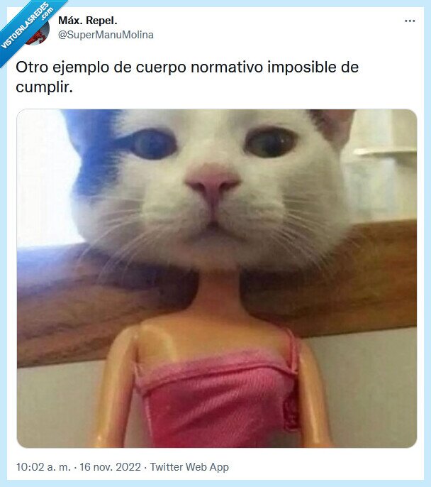 cuerpo,normativo,cumplir,imposible