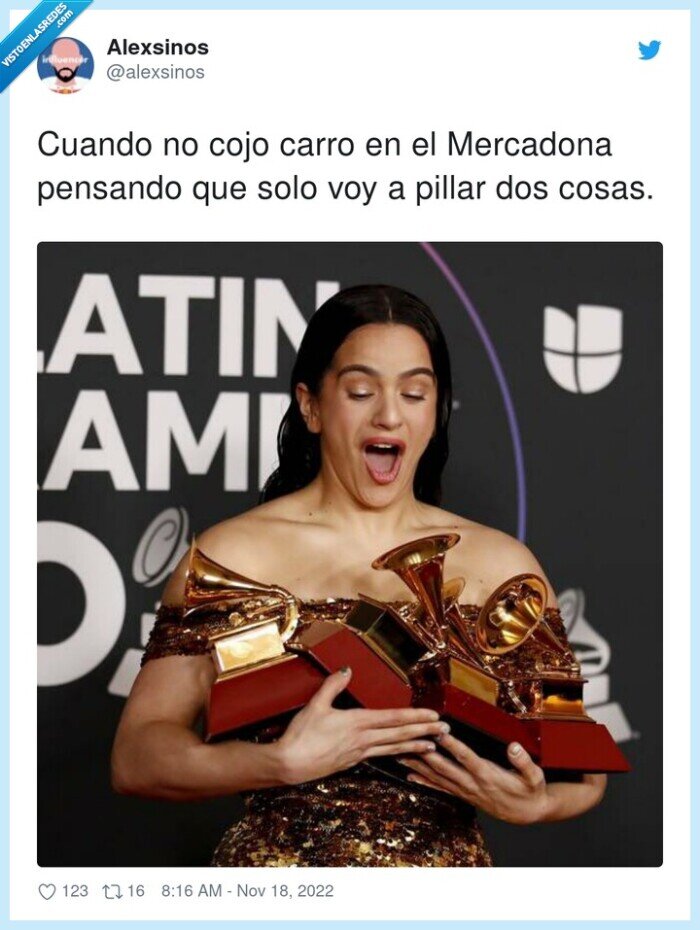 mercadona,comprar,pillar,carro,cosas