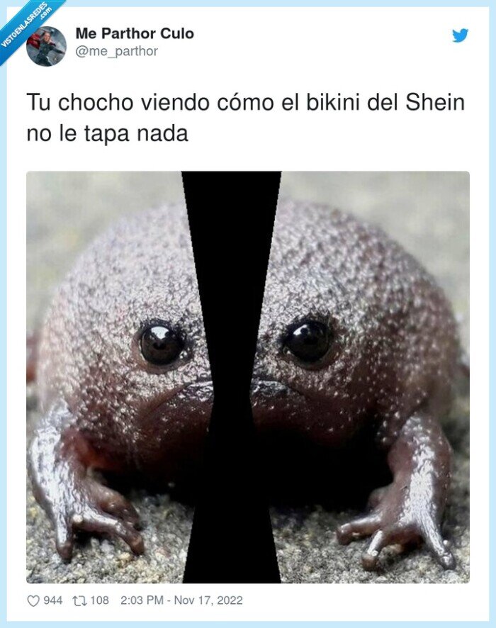 sapo,bikini,shein,tapar