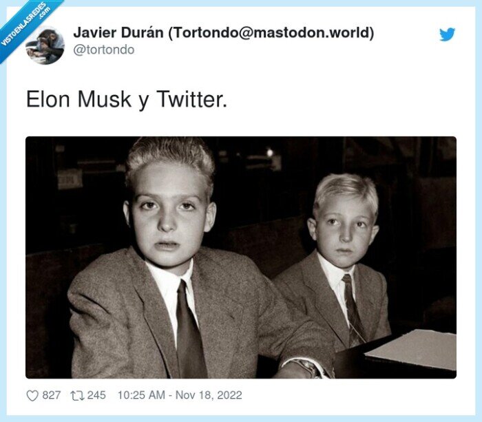 rey de españa,borbon,twitter,elon musk