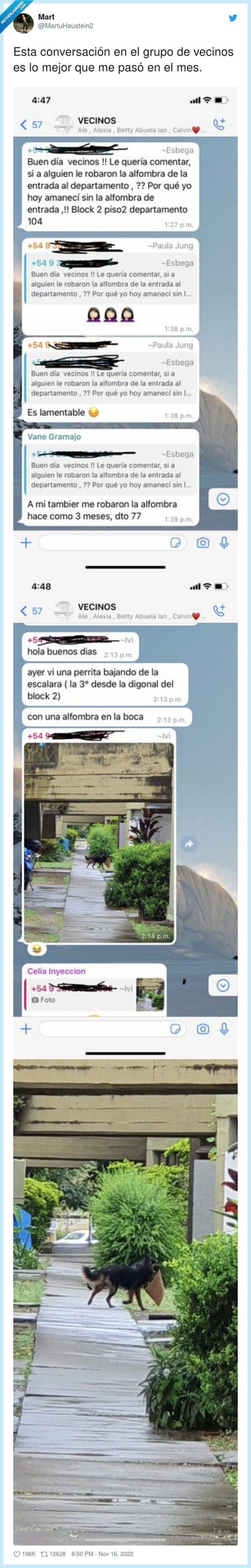 whatsapp,vecinos,perro,ladrón,felpudo