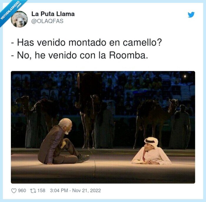 montado,roomba,medio,qatar,mundial