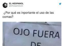 Enlace a La importancia de una coma, por @elhespanolcom