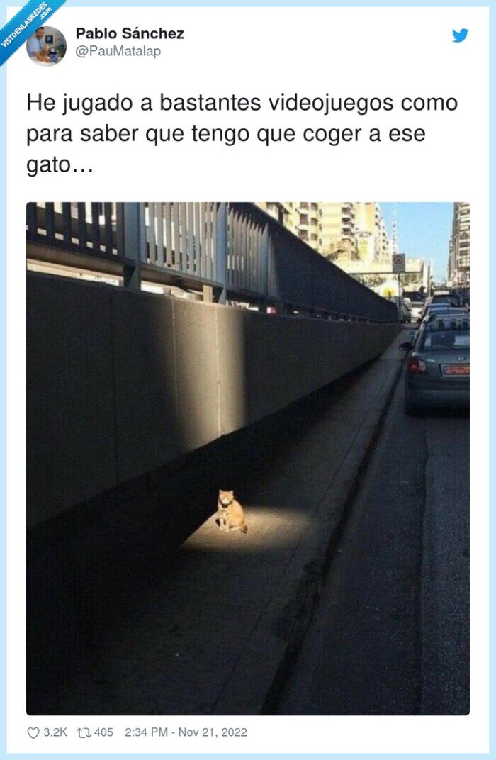 videojuegos,bastantes,gato