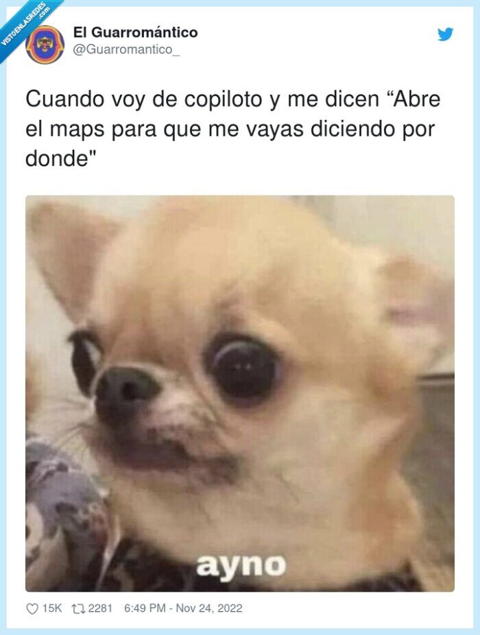 copiloto,diciendo,abre,maps,perro