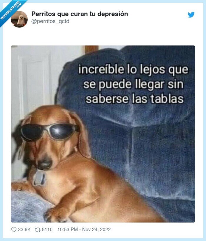 perro,tablas,aprender