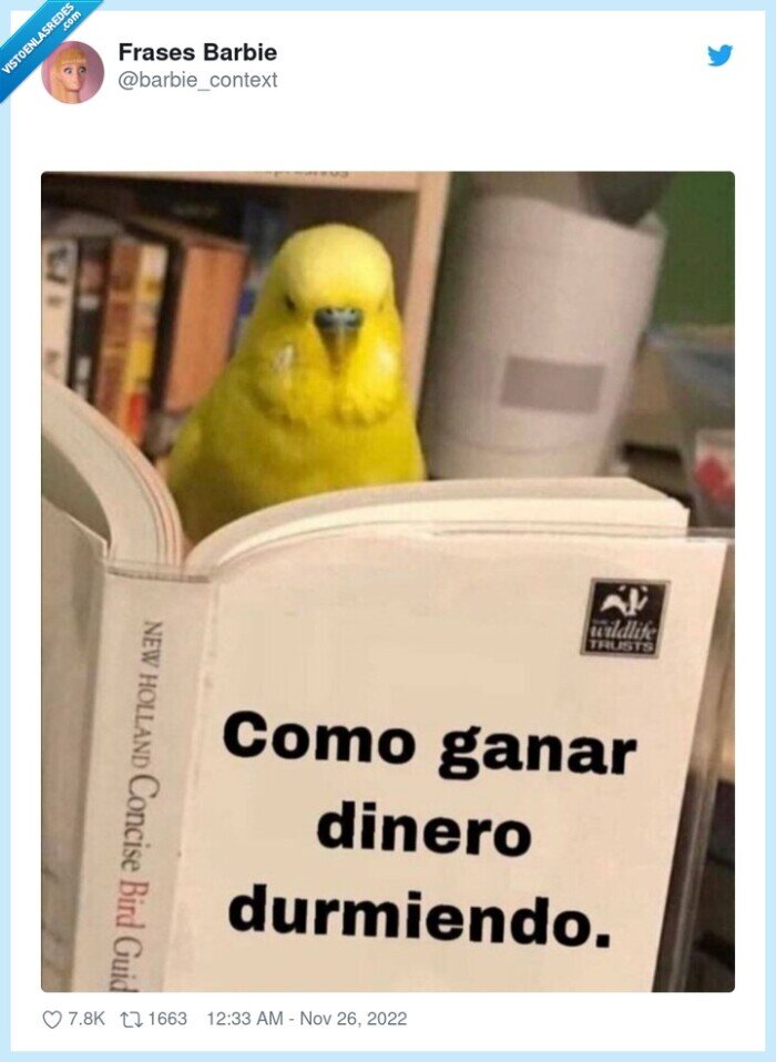 dormir,ganar dinero,libro