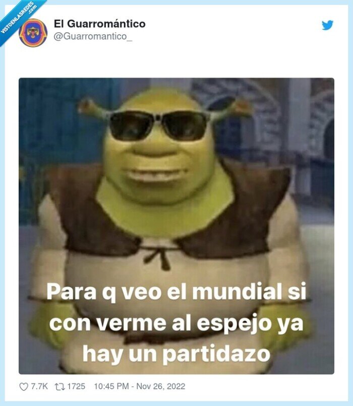shrek,partidazo,espejo,verse