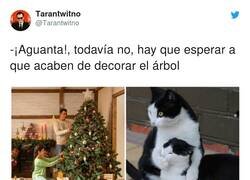 Enlace a Un poco más de paciencia, por @Tarantwitno