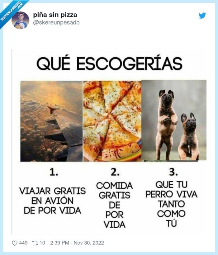 escoger,comida gratis,mascota,perro,viajar en avión,gratis