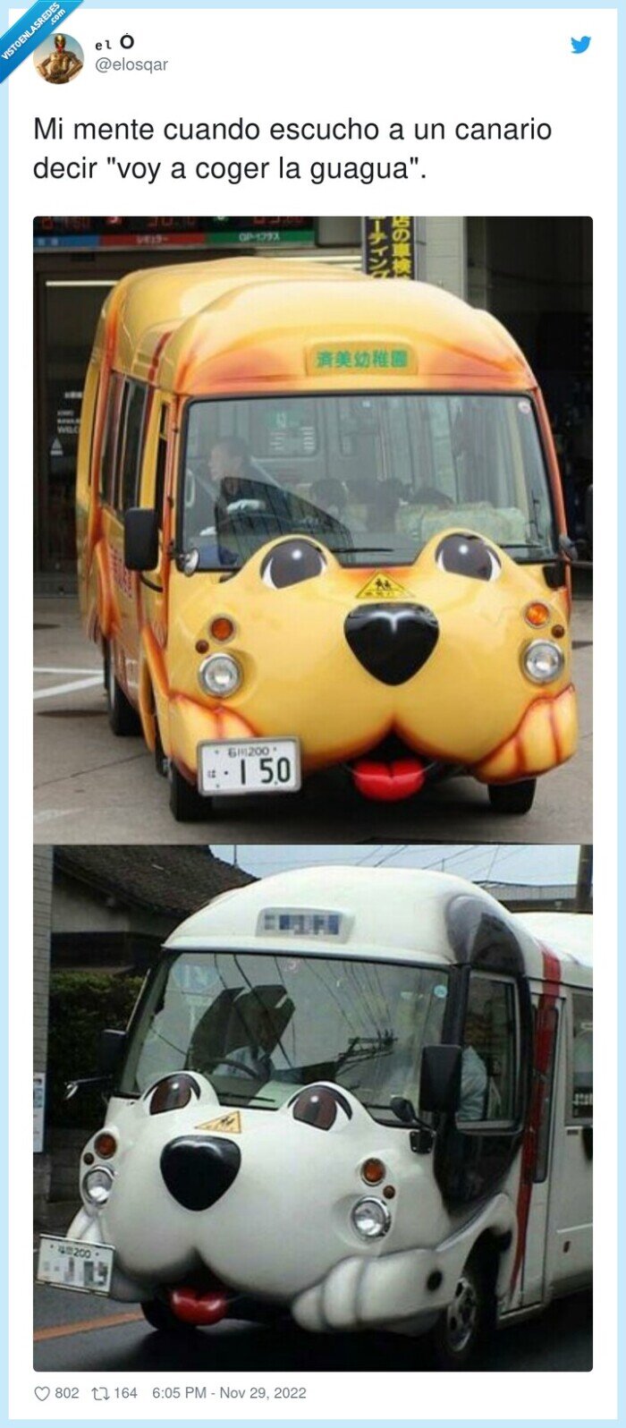 escuchar,canario,autobus,guagua,perro