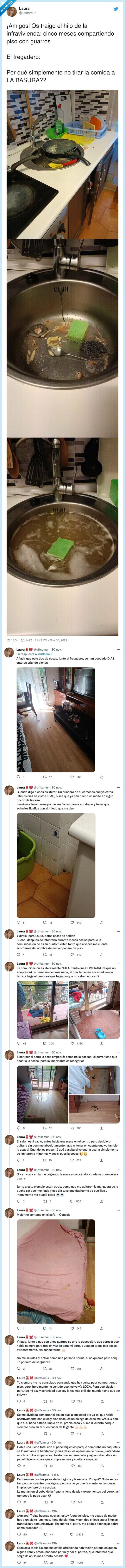 infravivienda,compartiendo,simplemente,fregadero,guarros,amigos