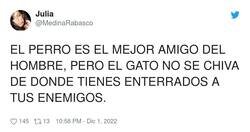 Enlace a Por tanto, si eres un villano, te sale más a cuenta un gato, por @MedinaRabasco