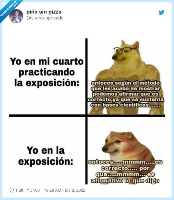 exposicion,preparar,doge,cheems