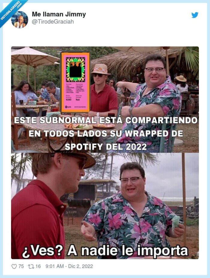 spotify,wrapped,pesados