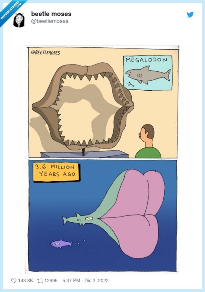 dentadura,megalodon,boca,labios,abrir