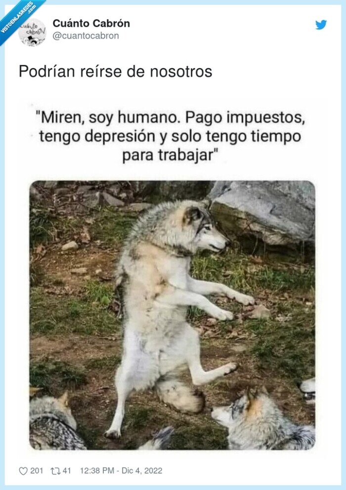 podr&iacute;an,lobos,re&iacute;rse
