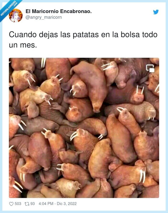 mes,patatas,dejar,bolsa,ferminar,morsas