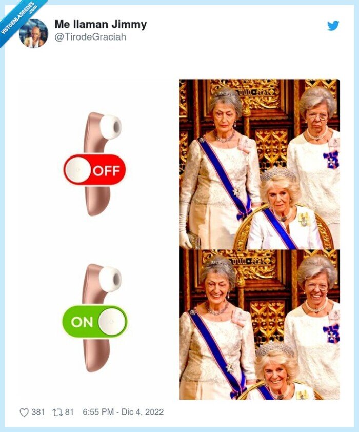 satisfyer,realeza,reinas,camilla