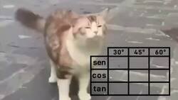 Enlace a Este es el recordatorio del mes sobre el mejor vídeo de matemáticas jamás creado, por @mike_mates