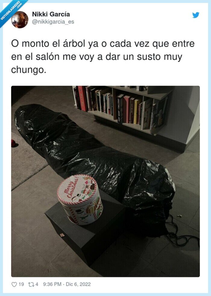 salón,árbol,paquete,montar,susto