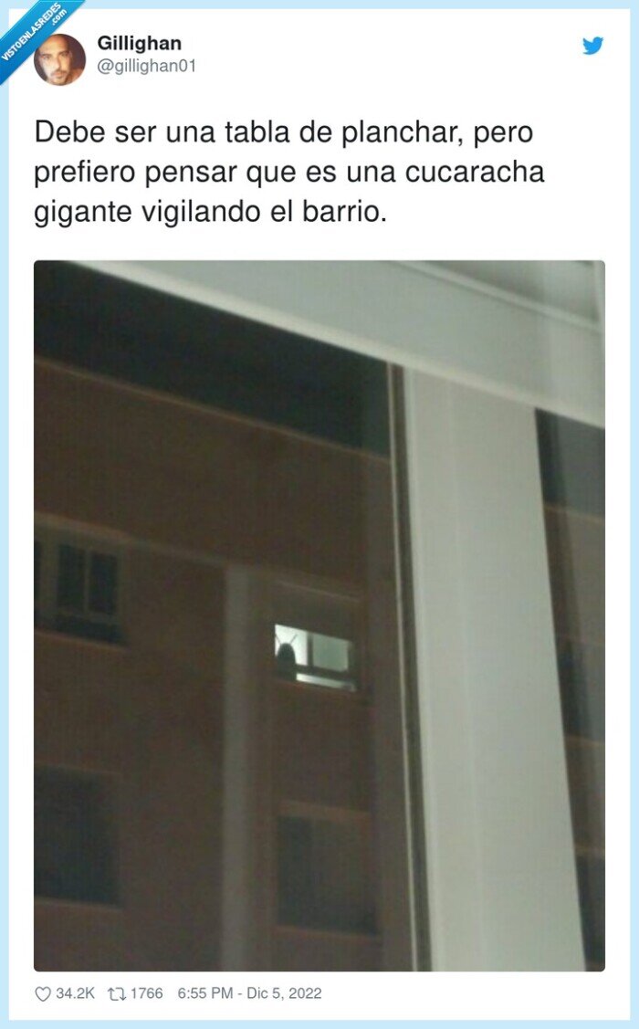 cucaracha,planchar,vigilando,prefiero,gigante,pensar