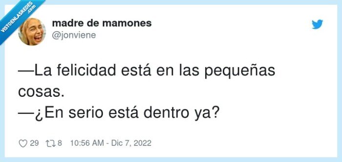 felicidad,pequeña,dentro,cosas