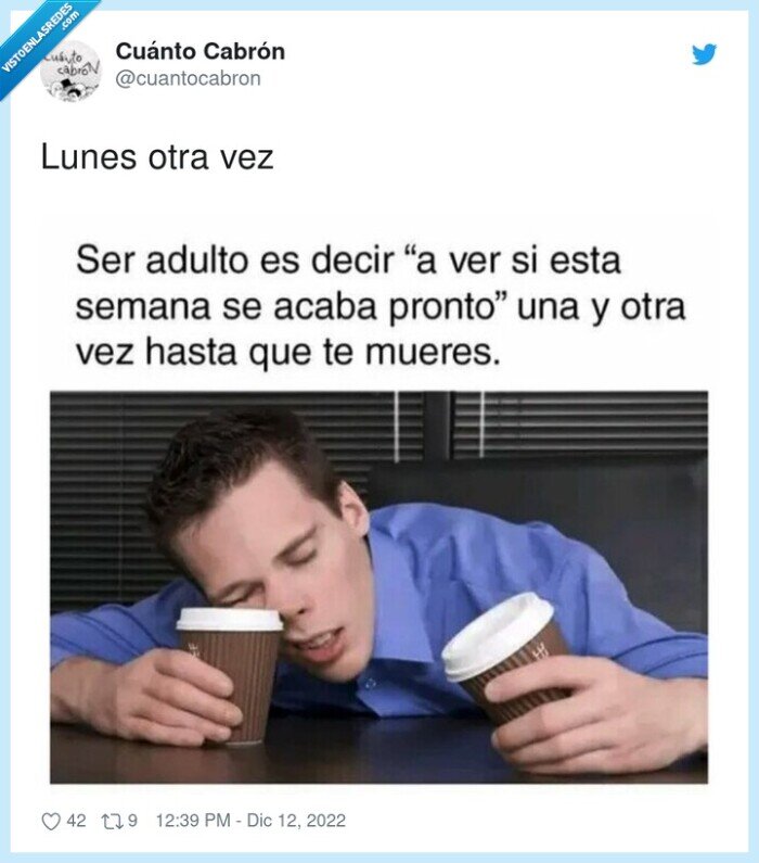 lunes,otra vez,adulto