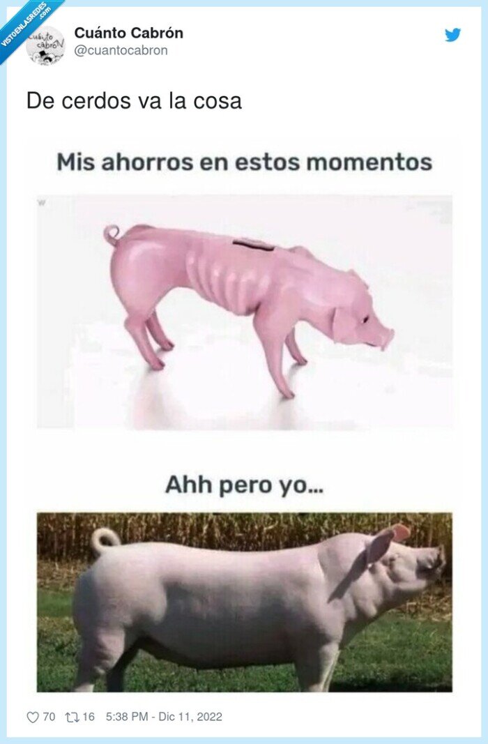 ahorros,cerdo,delgado,gordo