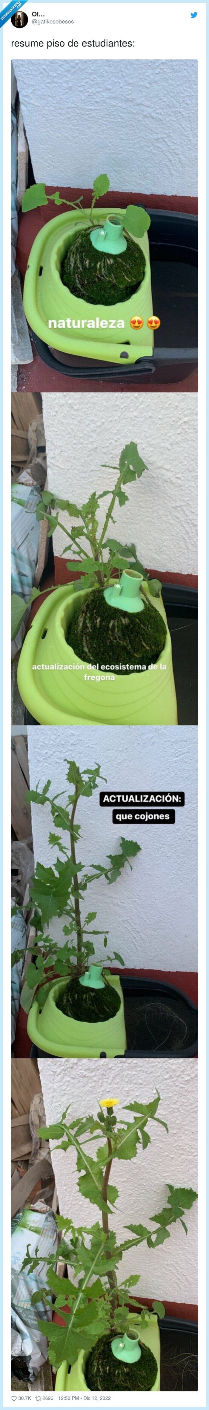 estudiantes,plantas,asco,porquería,piso